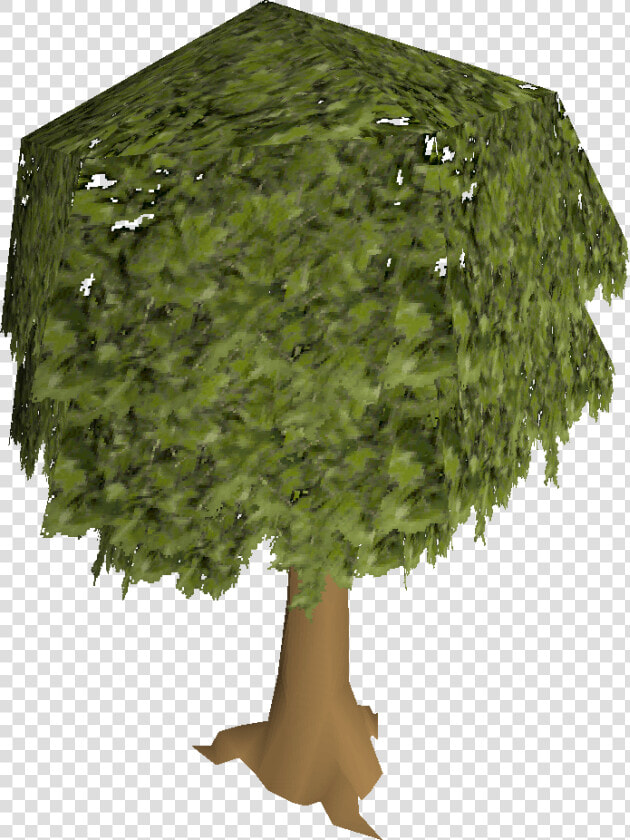 Old School Runescape Wiki   Osrs Tree  HD Png DownloadTransparent PNG