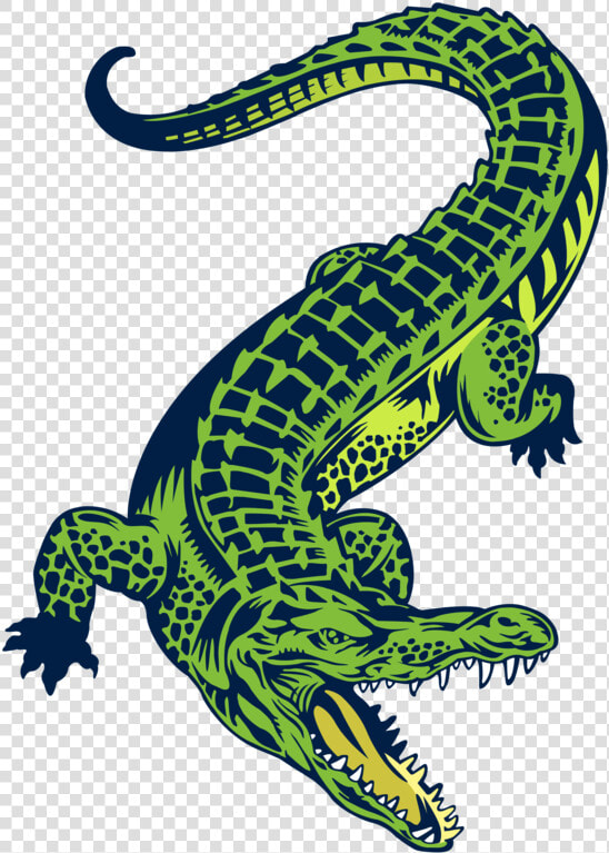 Relax Clipart Gator Tail   Clip Art Crocodile Png  Transparent PngTransparent PNG