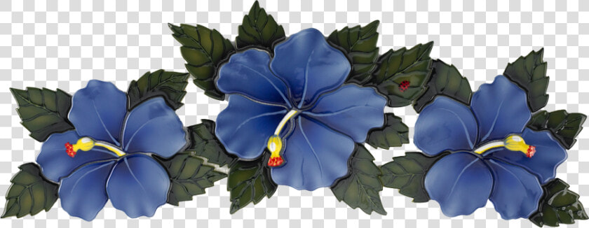 Hf74b Blue Hibiscus Flower Copy   Hibiscus  HD Png DownloadTransparent PNG