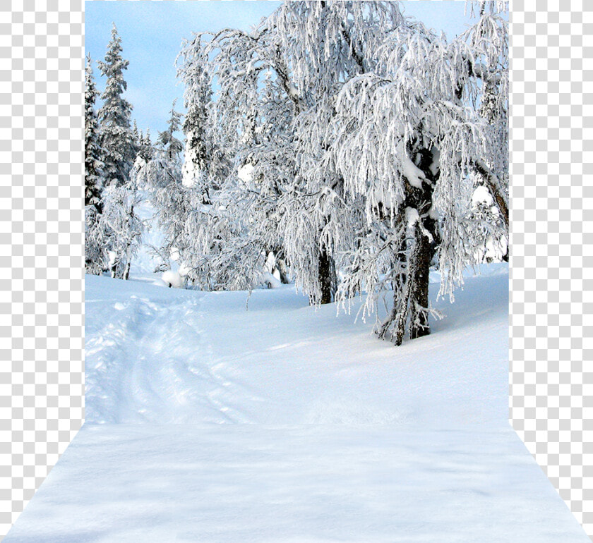 Transparent Snow Day Png   Snow  Png DownloadTransparent PNG