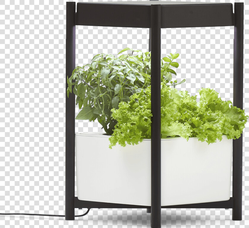 Miracle gro® Twelve™ Indoor Growing System   Miracle Gro Twelve Indoor Growing System  HD Png DownloadTransparent PNG