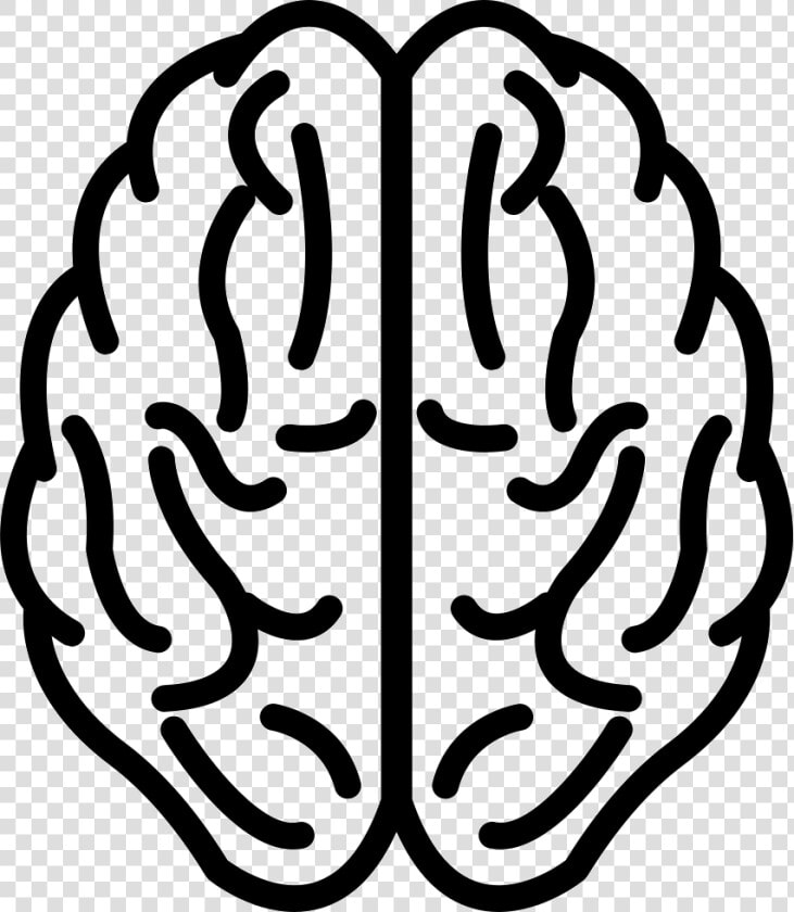 Brain Upper View Outline   Brain Outline Png  Transparent PngTransparent PNG