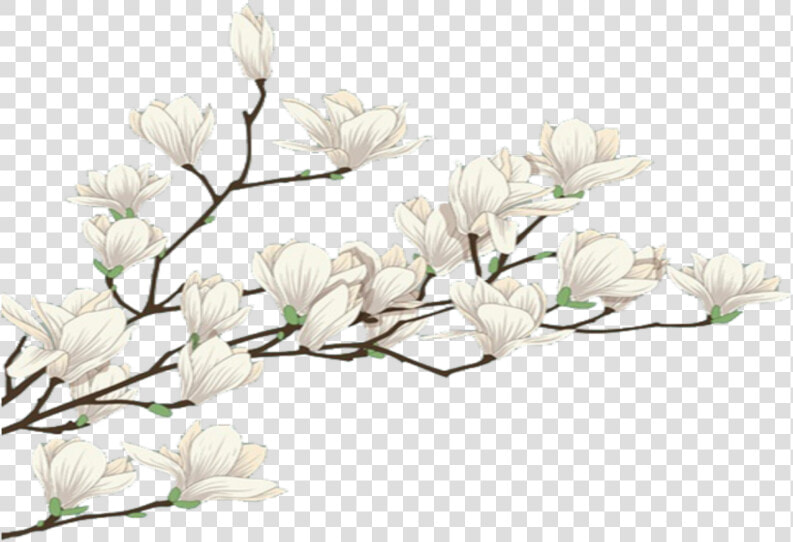  mq  white  flowers  flower  garden  nature   Snowdrop  HD Png DownloadTransparent PNG