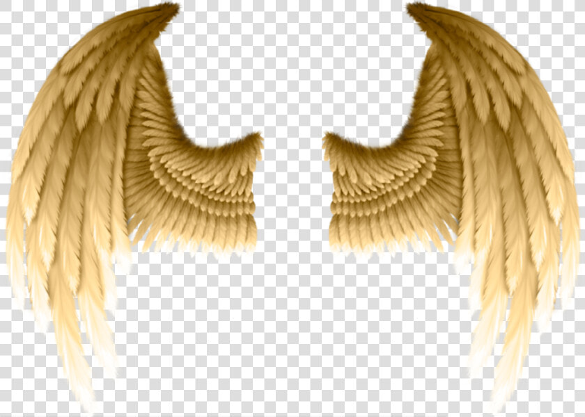  golden  wings  freetoedit   Gold Angel Wings Png  Transparent PngTransparent PNG