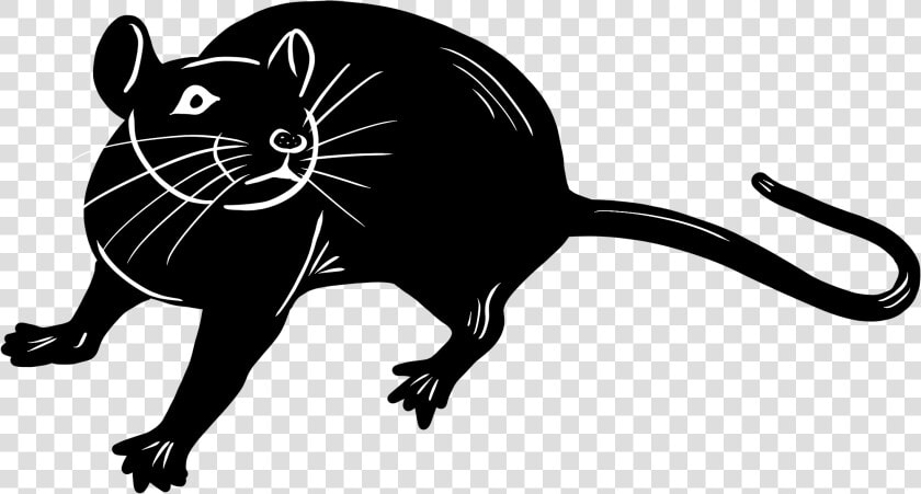 Transparent Rat Png   Rat  Png DownloadTransparent PNG