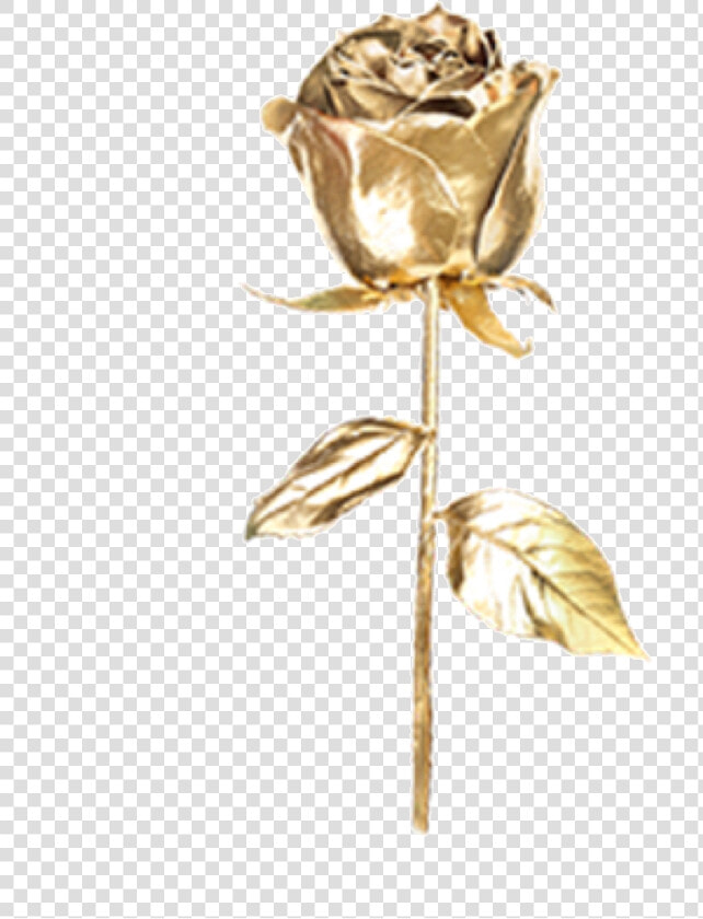  rose  gold  goldenrose  goldrose  pretty  freetoedit   Aesthetic Stickers Rose Gold  HD Png DownloadTransparent PNG