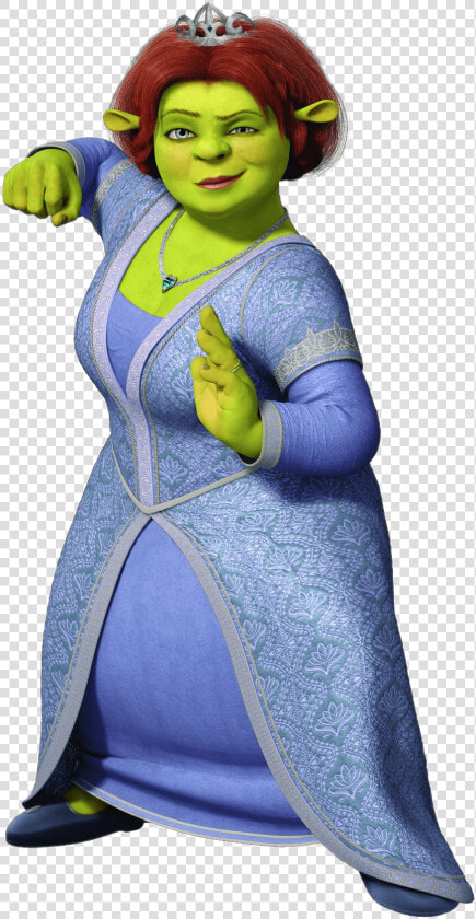 Princess Fiona Fighter   Shrek Fiona  HD Png DownloadTransparent PNG