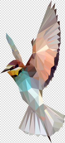 Bird Polygon Google Pinterest   Bird Polygon  HD Png DownloadTransparent PNG