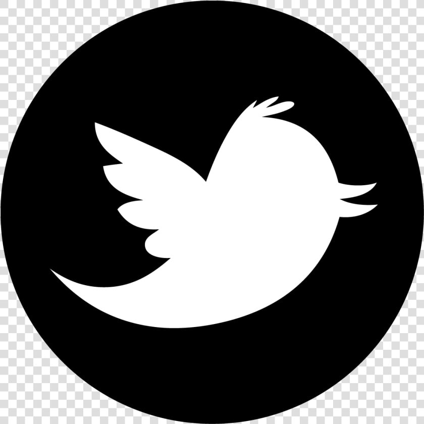 Thumb Image   Twitter Logo Vector Circle  HD Png DownloadTransparent PNG