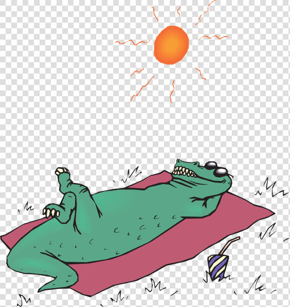 Alligator Sunbathing Svg Clip Arts   Alligator Sun Bathing  HD Png DownloadTransparent PNG