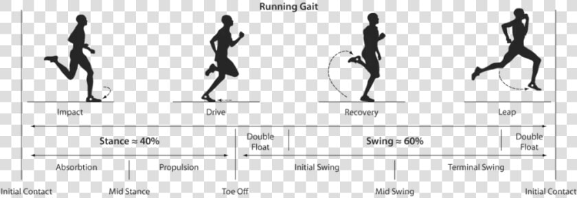 Phases Of Running Gait  HD Png DownloadTransparent PNG