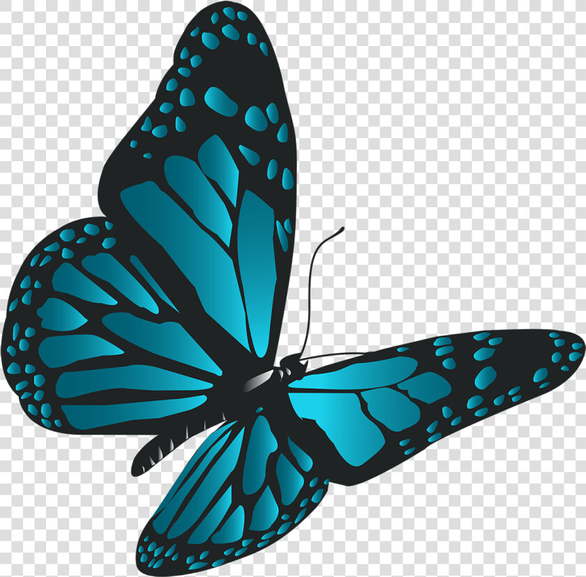 Animated Butterfly Clip Art   Blue Flying Butterfly Png  Transparent PngTransparent PNG