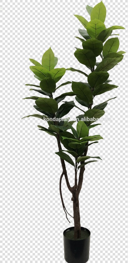 Flowerpot  HD Png DownloadTransparent PNG