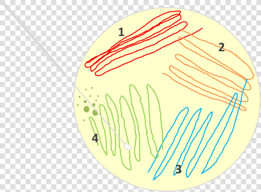 วิธี การ Streak Plate  HD Png DownloadTransparent PNG