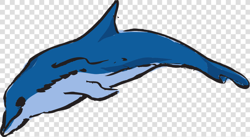 Dolphin Vector Png  dolphin Ocean Leaping   Warna Ikan Lumba Lumba  Transparent PngTransparent PNG