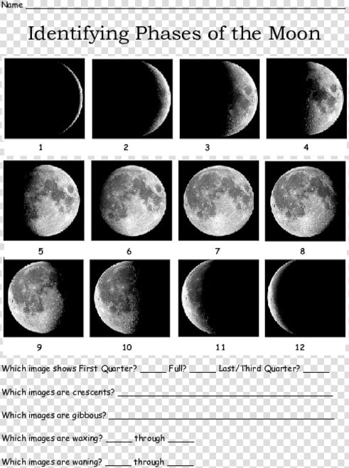 Identifying The Phases Of The Moon Ii  HD Png DownloadTransparent PNG