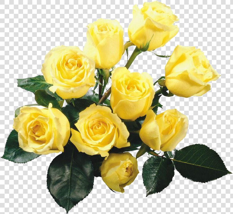 Rose Yellow Flower Bouquet Wallpaper   Flower Png Clipart Yellow Roses Png  Transparent PngTransparent PNG