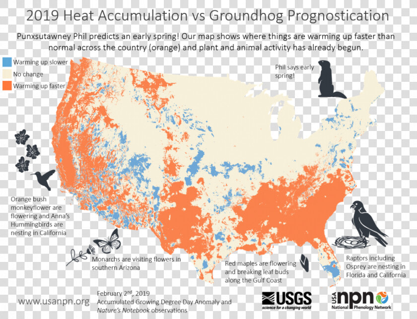 2019 Heat Accumulation Vs Groundhog Prognostication   Spring Bloom Map 2019  HD Png DownloadTransparent PNG