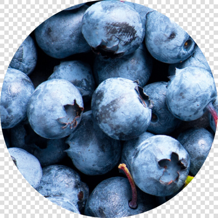 Fruit Acid From Blueberry Wirkstoff Fruit Ac  HD Png DownloadTransparent PNG