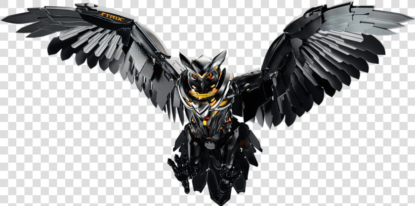 Asus Strix Owl  HD Png DownloadTransparent PNG