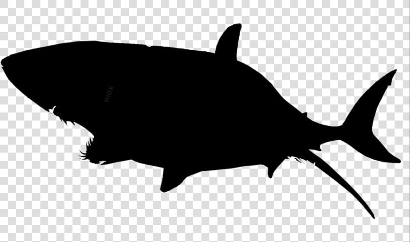 Transparent Shark Clipart  Shark Png Image   Great White Shark Transparent  Png DownloadTransparent PNG