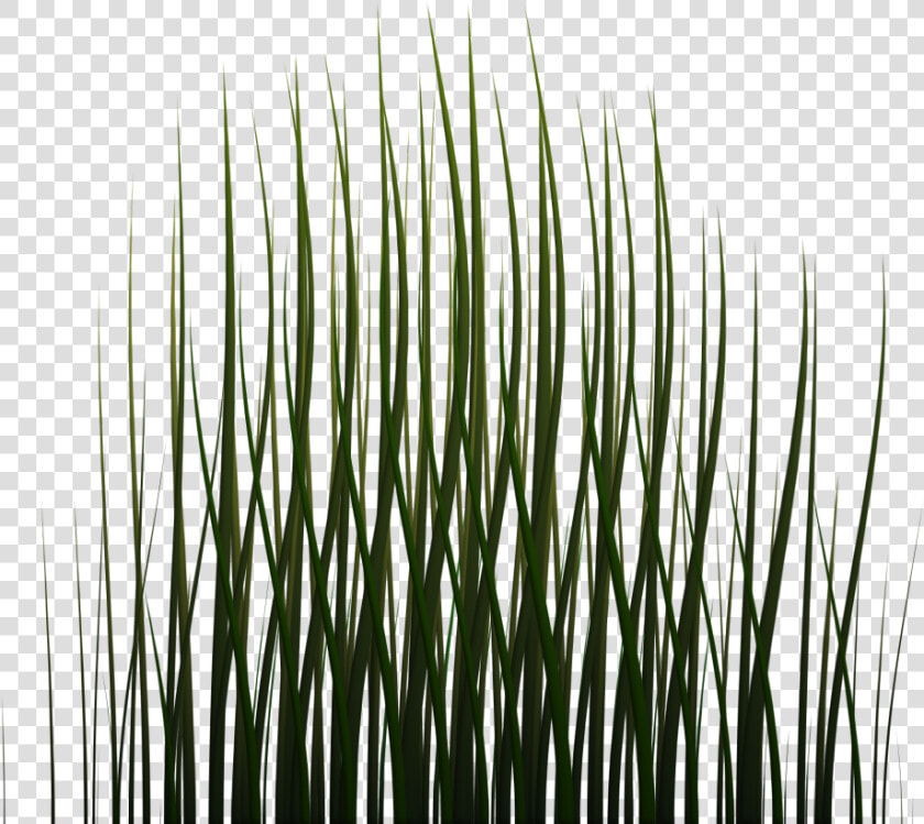 1024 X 1024 Png   Game Grass Texture Transparent  Png DownloadTransparent PNG