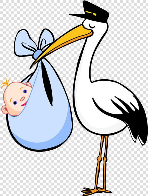 Stork Baby Png   Stork Clipart  Transparent PngTransparent PNG