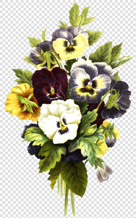 Flower Bouquet Pink Flowers  Flower Clipart Pansies   Flores De Pensamientos Pinturas  HD Png DownloadTransparent PNG