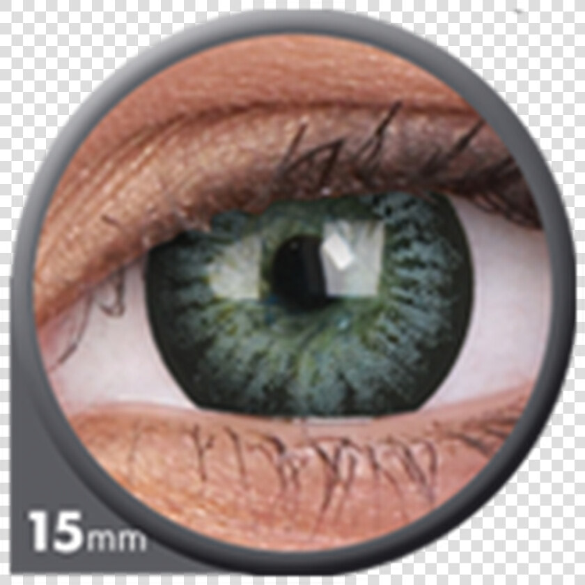 Evening Grey Colourvue Contact Lens  HD Png DownloadTransparent PNG