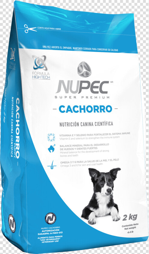 Nupec  HD Png DownloadTransparent PNG