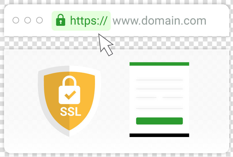 Standard Ssl Vs Deluxe Ssl  HD Png DownloadTransparent PNG