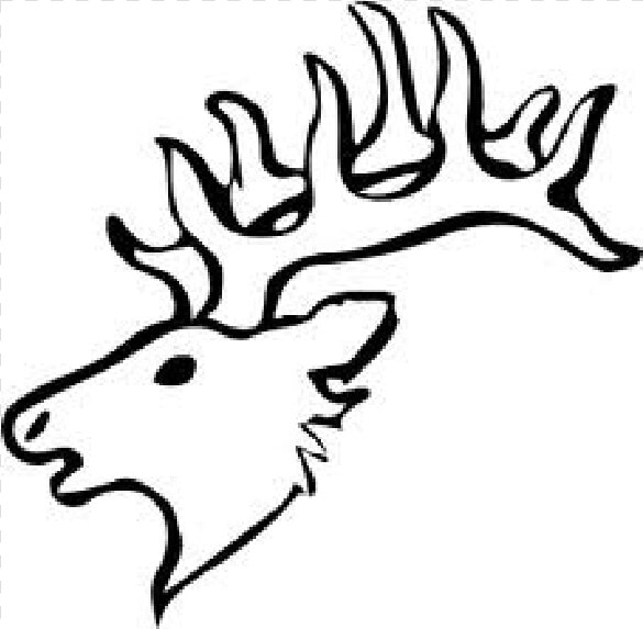 Elk Mother Deer Transparent Png Clipart Free Download   Elk Head Drawing Easy  Png DownloadTransparent PNG