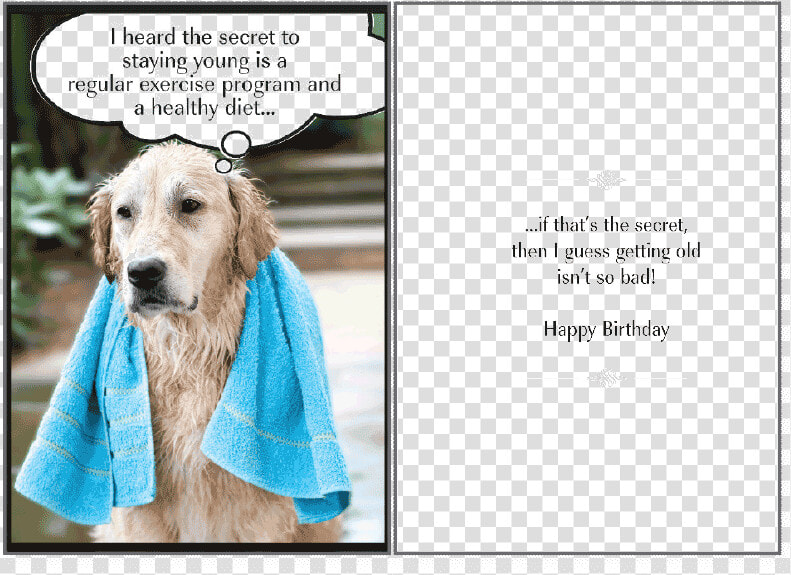 Secret To Staying Birthday Card   Dog Lover Happy Birthday  HD Png DownloadTransparent PNG