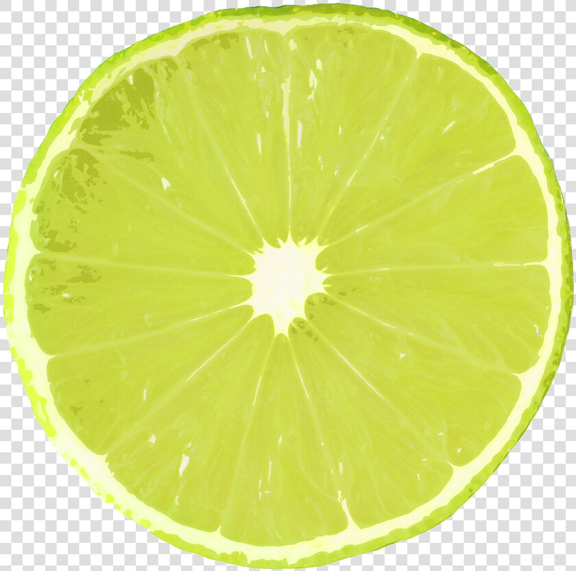 Lime Slice Lime Texture  HD Png DownloadTransparent PNG