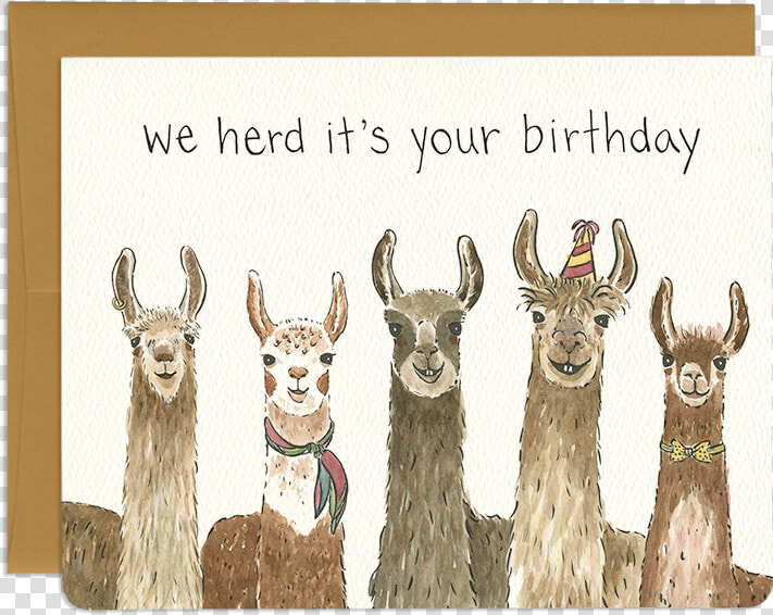 Punny Group Birthday Greeting Card   Llama Birthday Card Printable  HD Png DownloadTransparent PNG