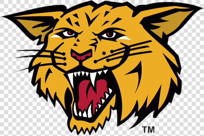 Moncton Wildcats Mascotte   Moncton Wildcats  HD Png DownloadTransparent PNG