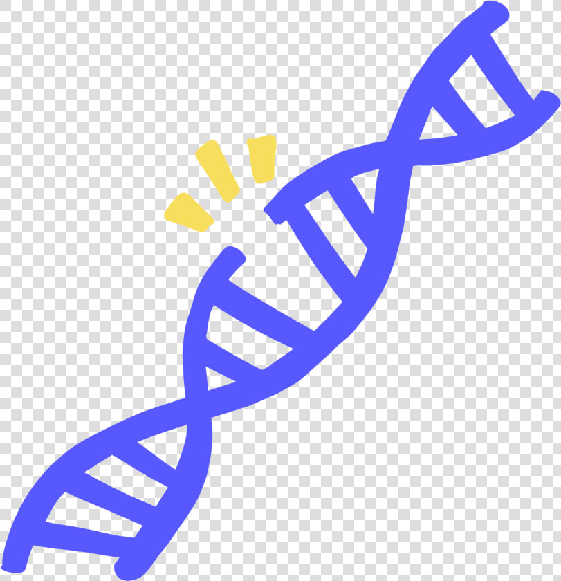 Transparent Dna Strand Png   Dna Strand Clip Art  Png DownloadTransparent PNG