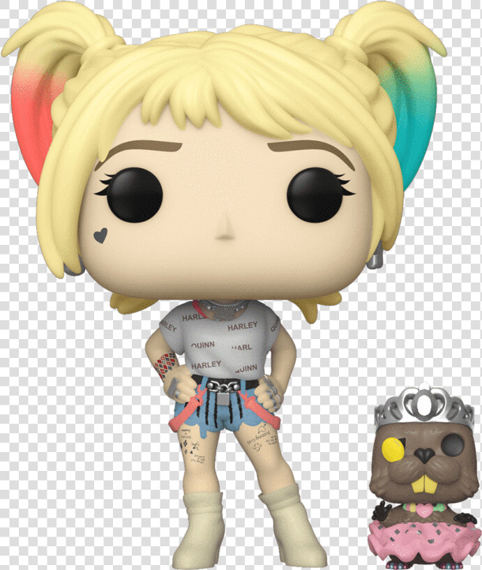 Birds Of Prey Funko Pop  HD Png DownloadTransparent PNG