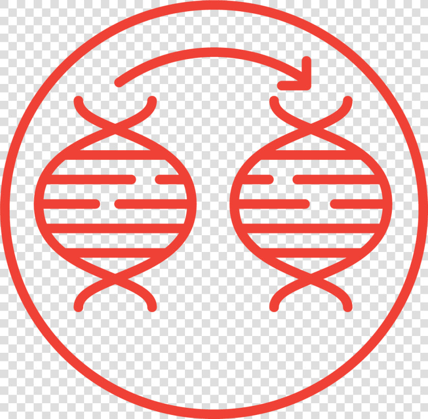 Gene Mutation Icon  HD Png DownloadTransparent PNG