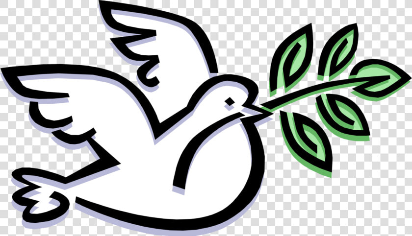 Vector Illustration Of Feathered Bird Peace Dove Carries   Friends Or Quakers  HD Png DownloadTransparent PNG