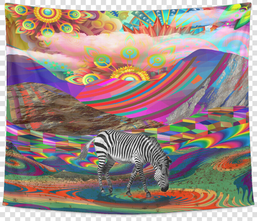 Rainbow Land Tapestry   Zebra  HD Png DownloadTransparent PNG