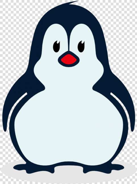 Penguin T shirt Bird Illustration Image   Transparent Penguin Clip Art  HD Png DownloadTransparent PNG