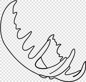 Fake Moose Antlers Side View  How To Put Together Your   Line Art  HD Png DownloadTransparent PNG