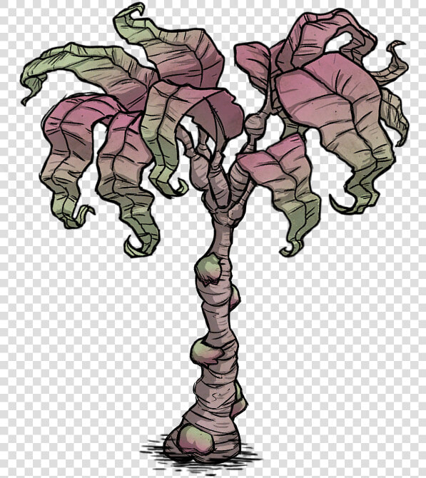 Rainforest Tree Rot   Tree  HD Png DownloadTransparent PNG