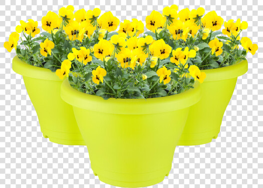 Flowerpot  HD Png DownloadTransparent PNG