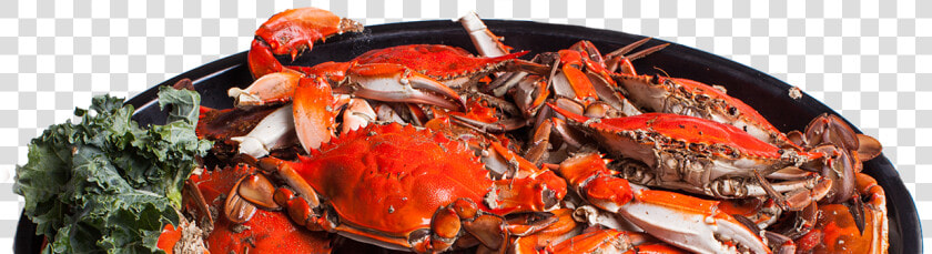 Dungeness Crab  HD Png DownloadTransparent PNG