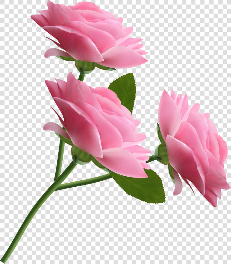 Rose Pink Clip Art   Pink Rose Transparent Background  HD Png DownloadTransparent PNG