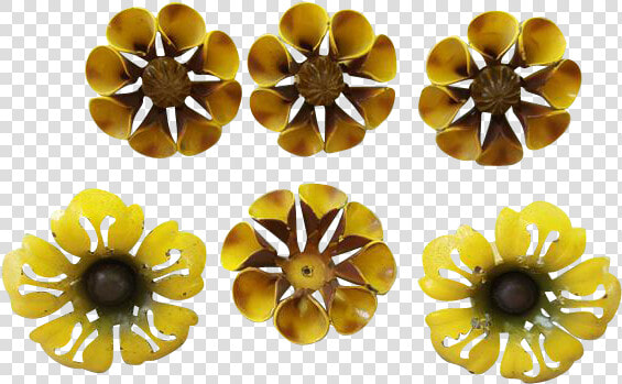 Thumbtacks Png  Transparent PngTransparent PNG