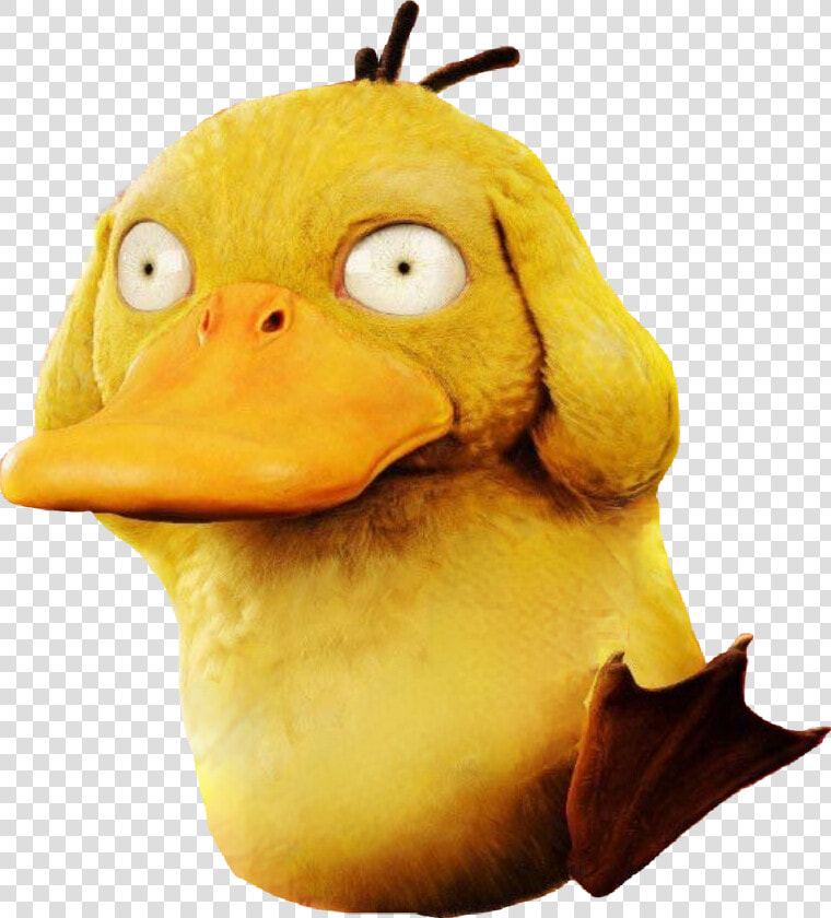 Pokemon Detective Pikachu Psyduck  HD Png DownloadTransparent PNG