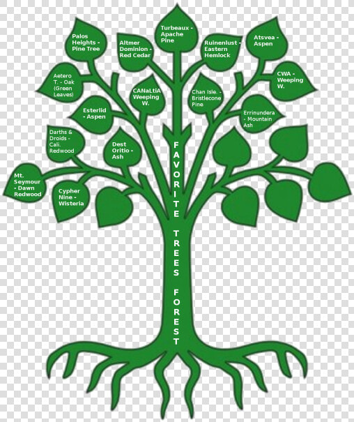 Aspen Tree Clip Art   Oak Tree Coat Of Arms  HD Png DownloadTransparent PNG